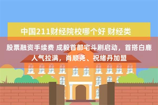 股票融资手续费 成毅首部宅斗剧启动，首搭白鹿人气拉满，肖顺尧、祝绪丹加盟