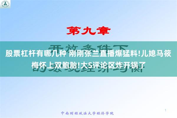 股票杠杆有哪几种 刚刚张兰直播爆猛料!儿媳马筱梅怀上双胞胎!大S评论区炸开锅了