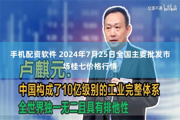 手机配资软件 2024年7月25日全国主要批发市场桂七价格行情