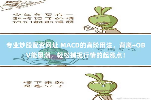 专业炒股配资网址 MACD的高阶用法，背离+OBV能量潮，轻松捕捉行情的起涨点！