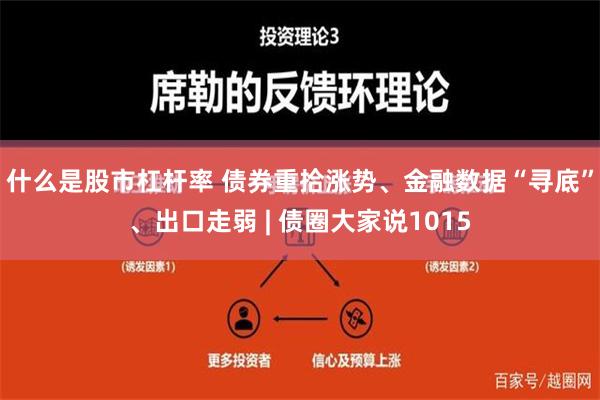 什么是股市杠杆率 债券重拾涨势、金融数据“寻底”、出口走弱 | 债圈大家说1015