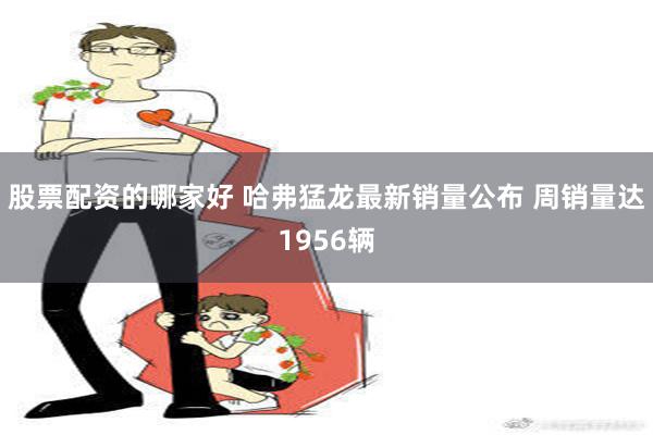 股票配资的哪家好 哈弗猛龙最新销量公布 周销量达1956辆